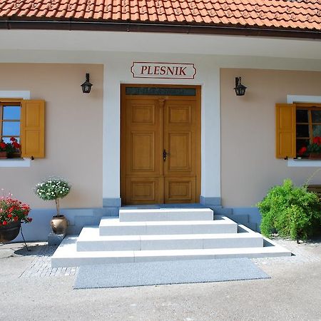 Farm Stay Rotovnik - Plesnik Slovenj Gradec Luaran gambar
