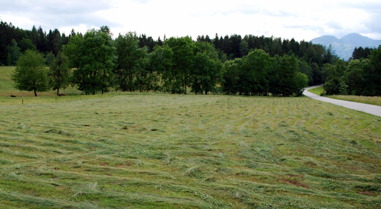 Farm Stay Rotovnik - Plesnik Slovenj Gradec Luaran gambar