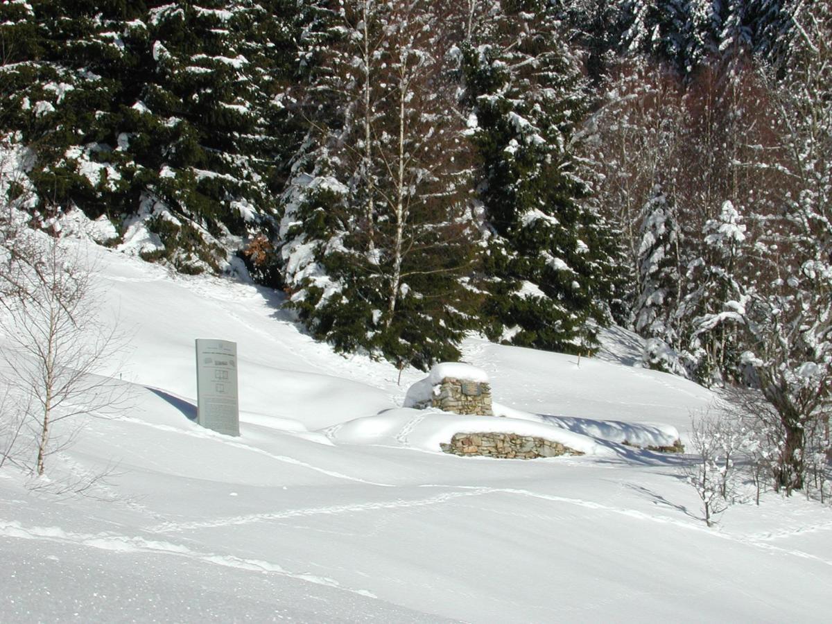 Farm Stay Rotovnik - Plesnik Slovenj Gradec Luaran gambar