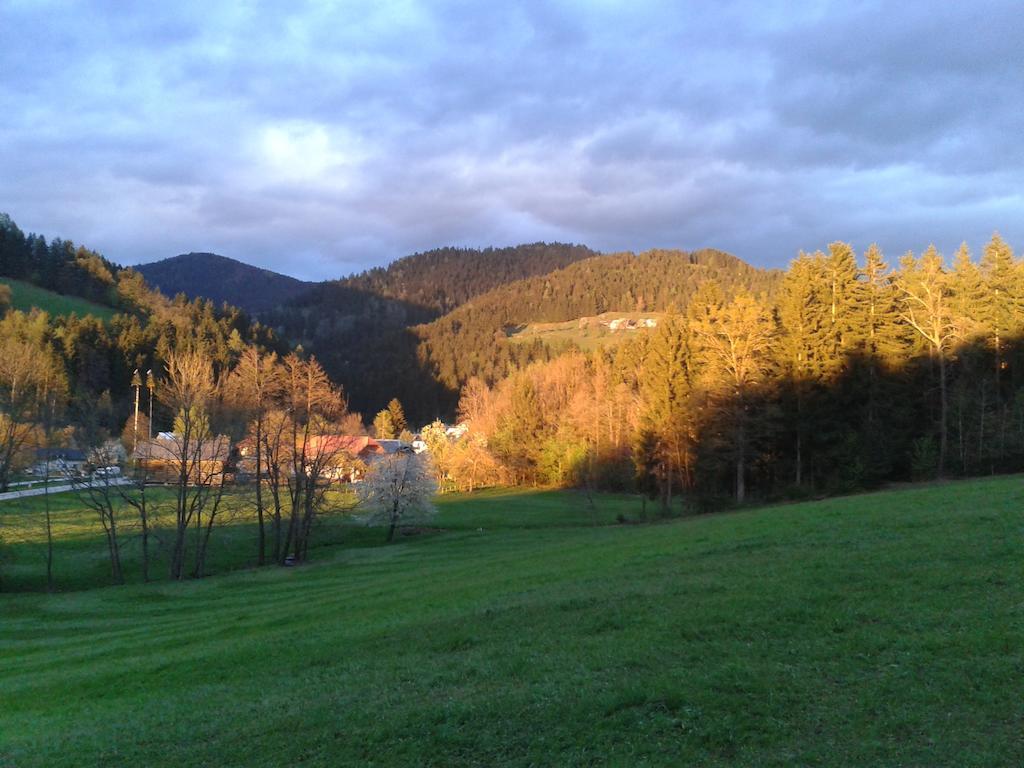 Farm Stay Rotovnik - Plesnik Slovenj Gradec Luaran gambar
