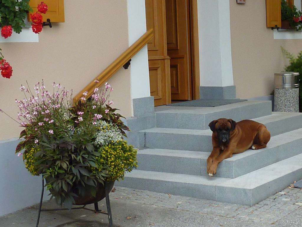 Farm Stay Rotovnik - Plesnik Slovenj Gradec Luaran gambar