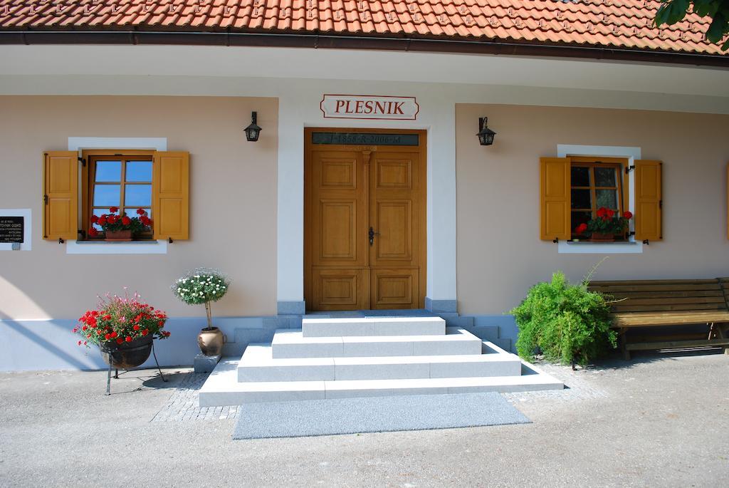 Farm Stay Rotovnik - Plesnik Slovenj Gradec Luaran gambar